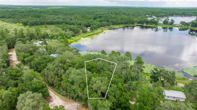 TBD NE 224th Pl, Fort Mc Coy, FL 32134 - photo 1