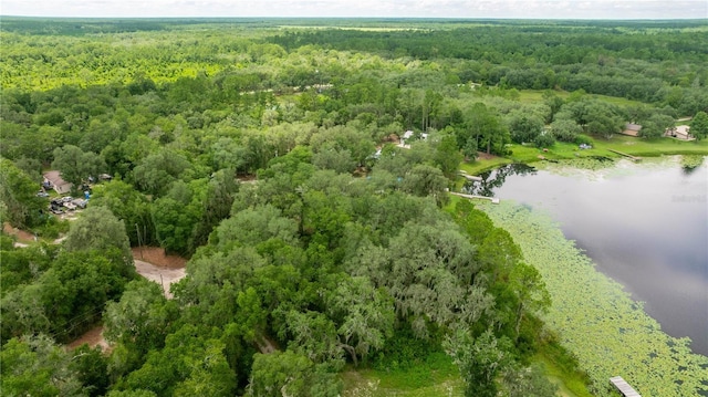 TBD NE 224th Pl, Fort Mc Coy, FL 32134 - photo 2