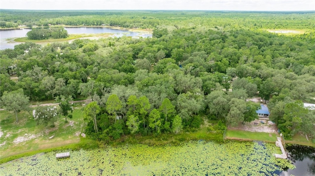 TBD NE 224th Pl, Fort Mc Coy, FL 32134 - photo 3