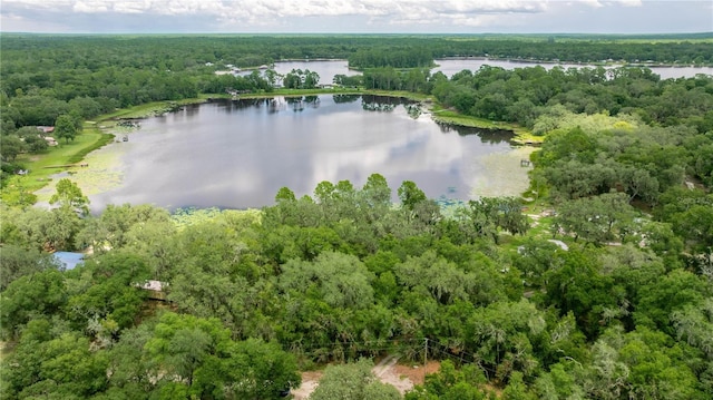 TBD NE 224th Pl, Fort Mc Coy, FL 32134 - photo 4