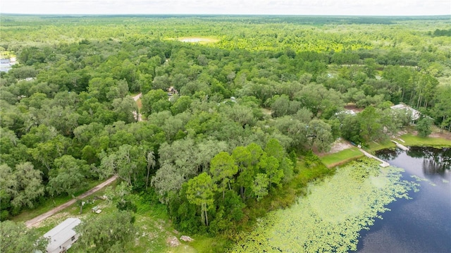 TBD NE 224th Pl, Fort Mc Coy, FL 32134 - photo 6