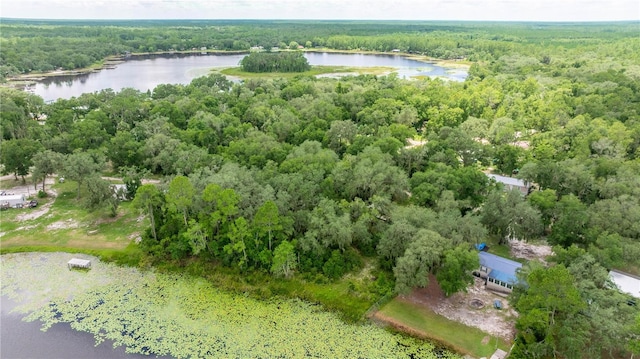 TBD NE 224th Pl, Fort Mc Coy, FL 32134 - photo 7