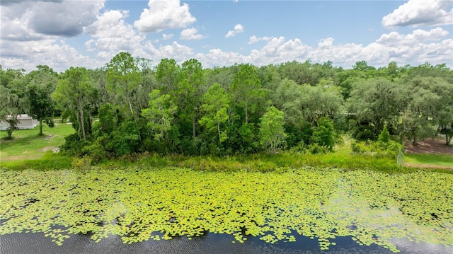 TBD NE 224th Pl, Fort Mc Coy, FL 32134 - photo 8
