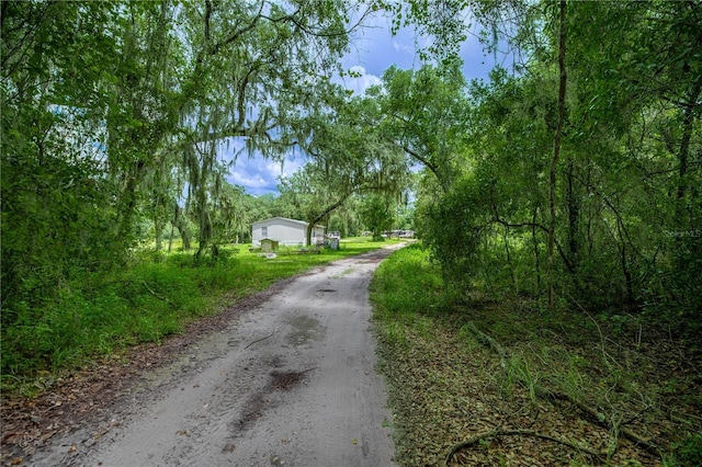 TBD NE 224th Pl, Fort Mc Coy, FL 32134 - photo 9