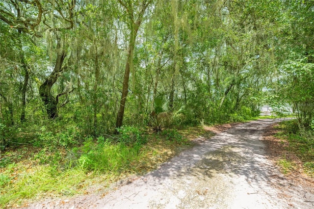 TBD NE 224th Pl, Fort Mc Coy, FL 32134 - photo 10