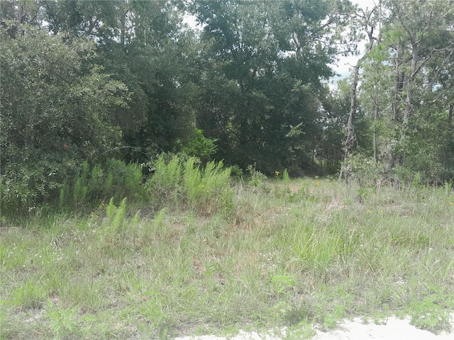 TBD SE 28th St, Morriston, FL 32668 - photo 2
