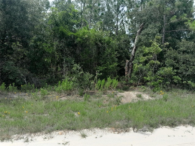 TBD SE 28th St, Morriston, FL 32668 - photo 3
