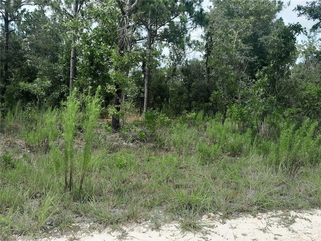 TBD SE 28th St, Morriston, FL 32668 - photo 4