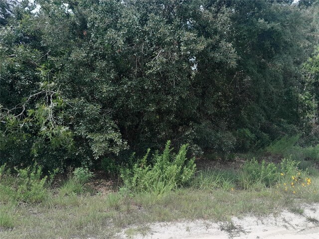 TBD SE 28th St, Morriston, FL 32668 - photo 5