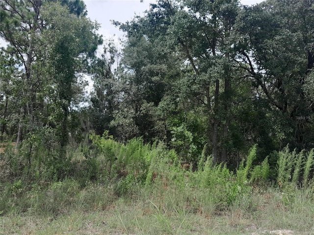 TBD SE 28th St, Morriston, FL 32668 - photo 6