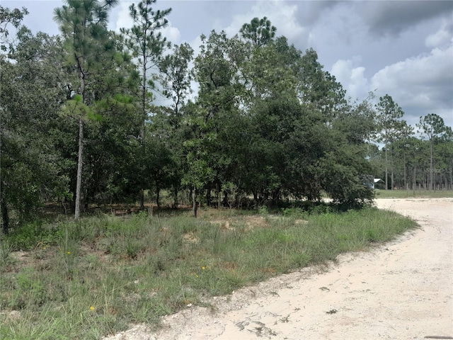 TBD SE 28th St, Morriston, FL 32668 - photo 7