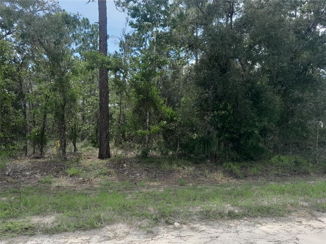 TBD SE 28th St, Morriston, FL 32668 - photo 8