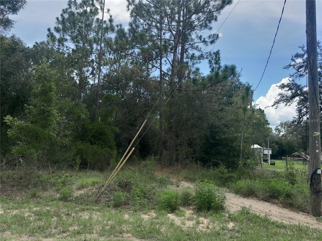 TBD SE 28th St, Morriston, FL 32668 - photo 9