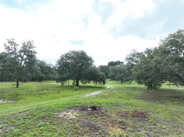 6671 NE 131st Ave, Williston, FL 32696 - photo 1
