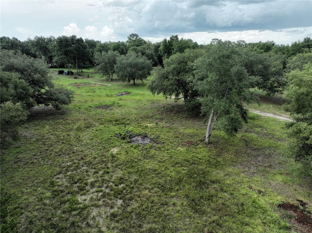 6671 NE 131st Ave, Williston, FL 32696 - photo 2