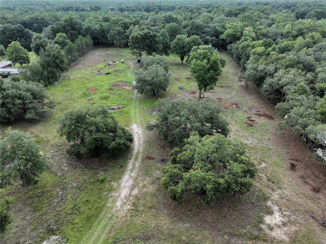 6671 NE 131st Ave, Williston, FL 32696 - photo 4