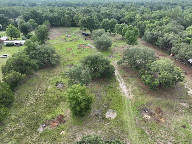 6671 NE 131st Ave, Williston, FL 32696 - photo 5