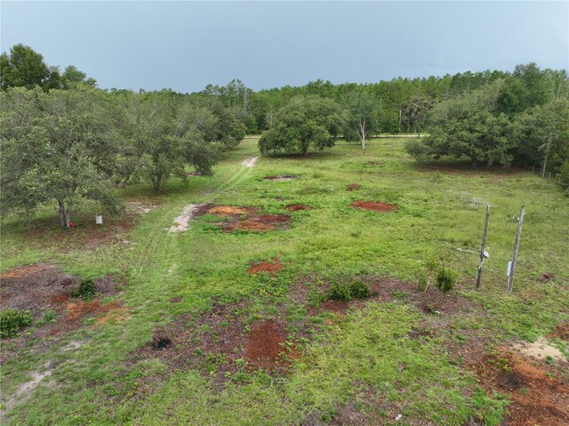 6671 NE 131st Ave, Williston, FL 32696 - photo 9