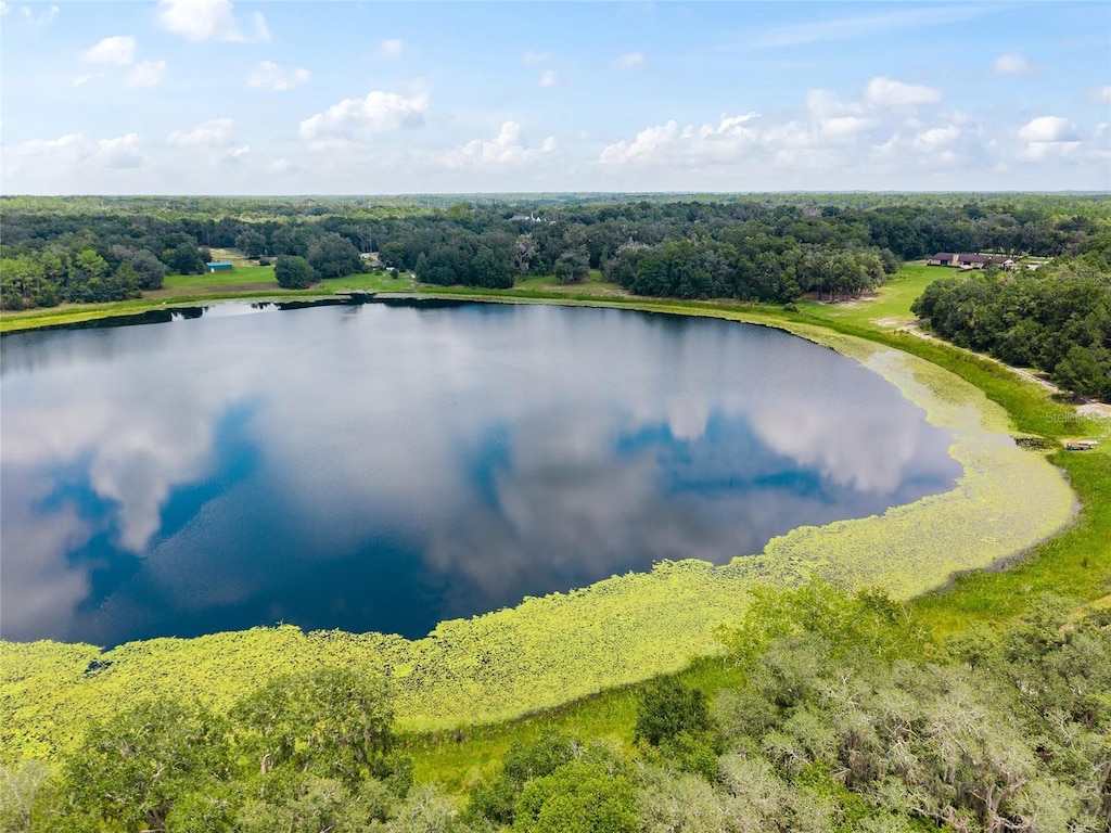 135 Lyons Lake Ln, Hawthorne, FL 32640 - photo 1