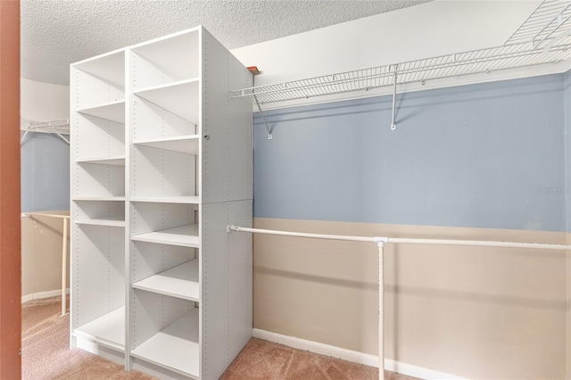 9051 SW 96th Ln Unit D, Ocala, FL 34481 - photo 20
