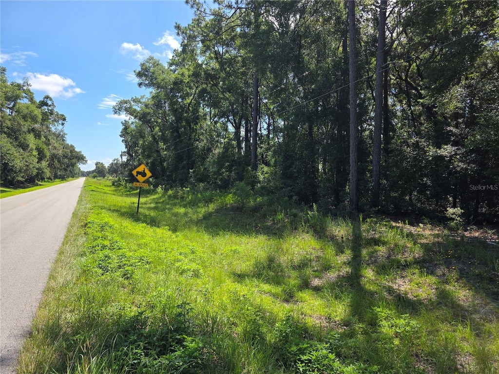 000 SE 32nd Pl, Morriston, FL 32668 - photo 1