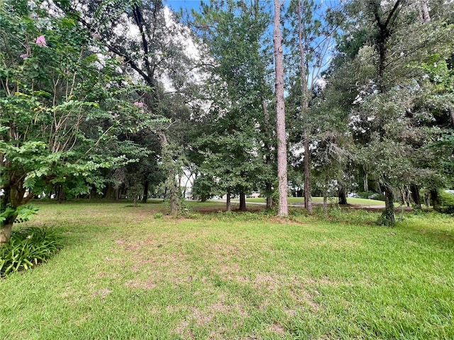 11097 SW 69th Cir, Ocala, FL 34476 - photo 15