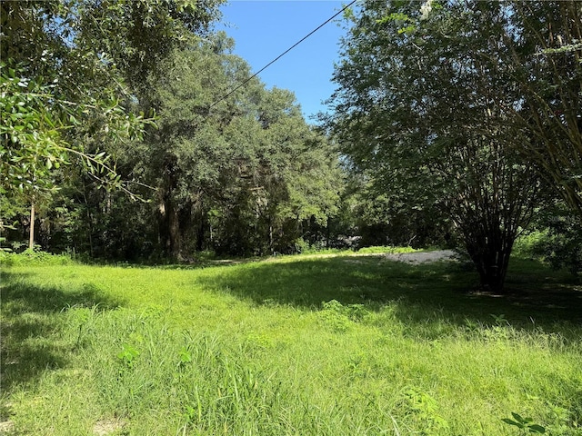 13545 SW 5th Ln, Ocala, FL 34481 - photo 2
