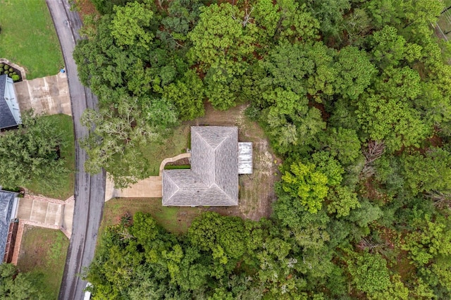 12 Sycamore Ct W, Homosassa, FL 34446 - photo 37