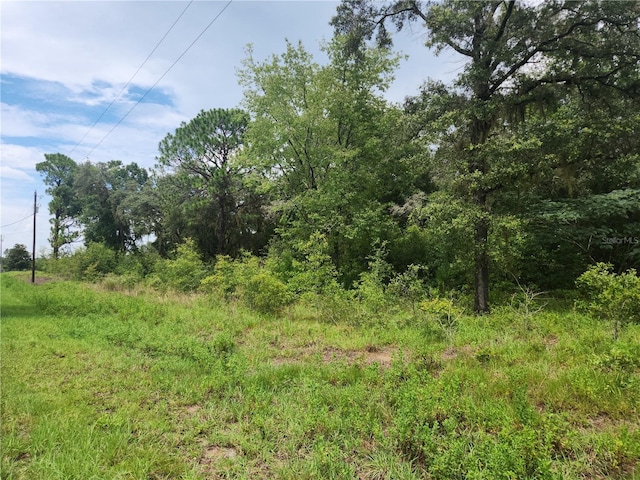 LOT9 SW Ivy Pl, Dunnellon, FL 34432 - photo 1