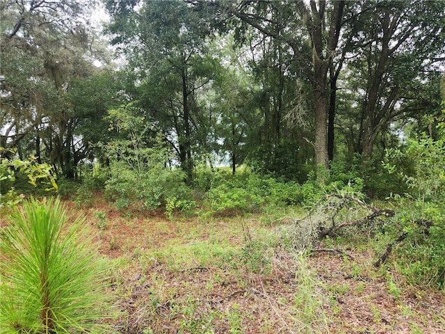 LOT9 SW Ivy Pl, Dunnellon, FL 34432 - photo 4
