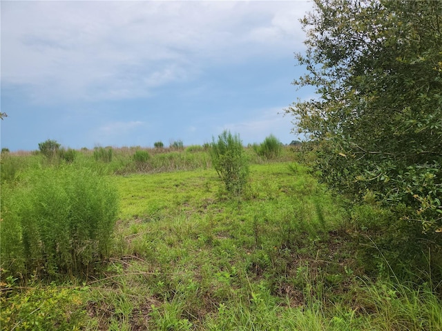 LOT9 SW Ivy Pl, Dunnellon, FL 34432 - photo 5