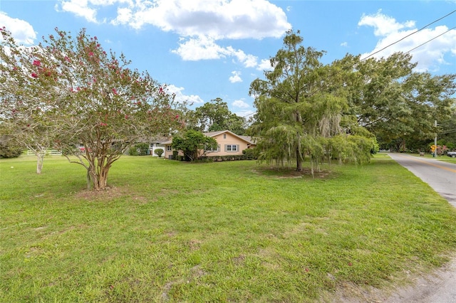3930 NE 11th St, Ocala, FL 34470 - photo 43