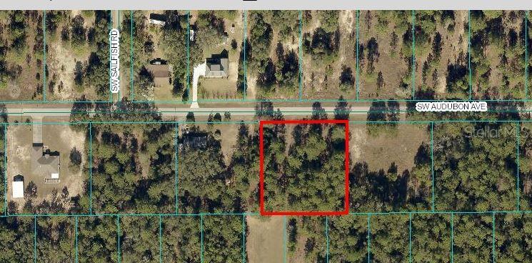 00 NW Smallwood Rd, Dunnellon, FL 34431 - photo 1