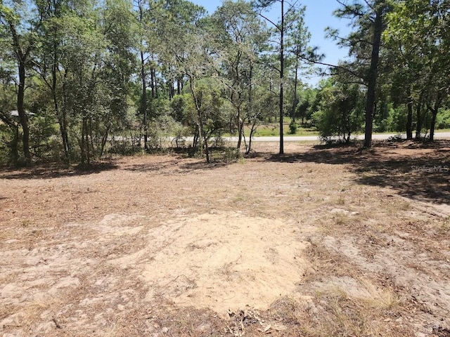 LOT18 SW Pine Bluffs Rd, Dunnellon, FL 34432 - photo 1
