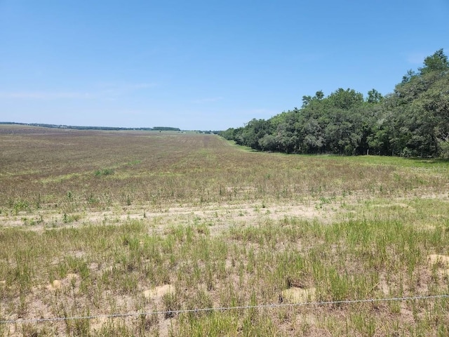 LOT18 SW Pine Bluffs Rd, Dunnellon, FL 34432 - photo 2