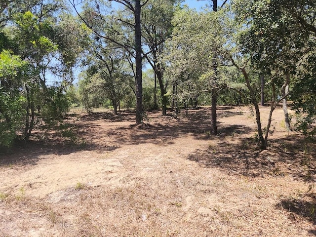 LOT18 SW Pine Bluffs Rd, Dunnellon, FL 34432 - photo 4