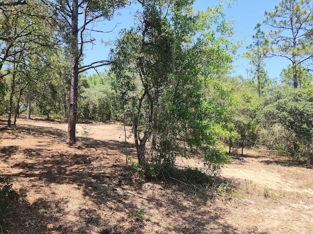 LOT18 SW Pine Bluffs Rd, Dunnellon, FL 34432 - photo 10