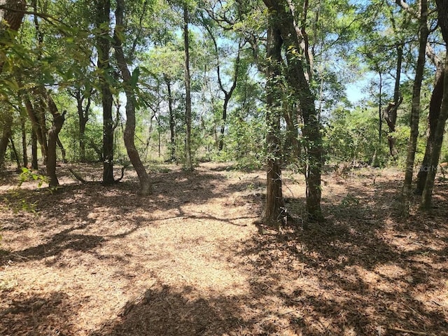 LOT18 SW Pine Bluffs Rd, Dunnellon, FL 34432 - photo 11