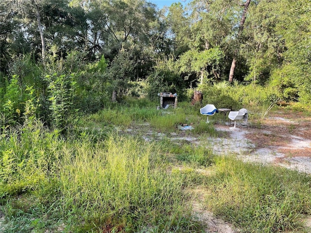 8890 SW 146th Pl, Dunnellon, FL 34432 - photo 6