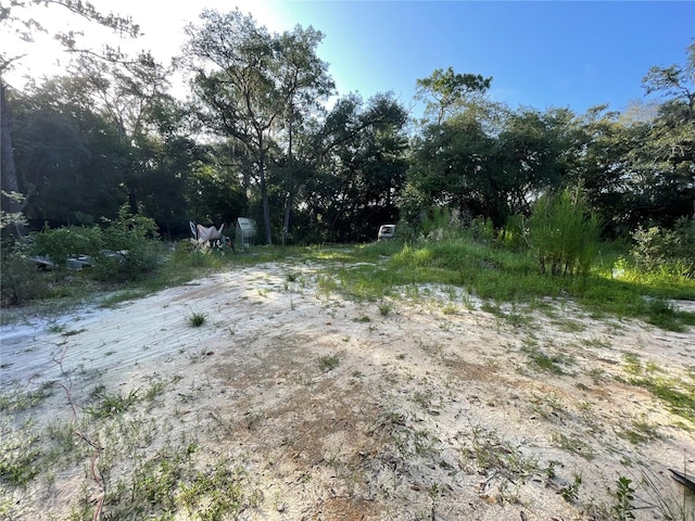 8890 SW 146th Pl, Dunnellon, FL 34432 - photo 7