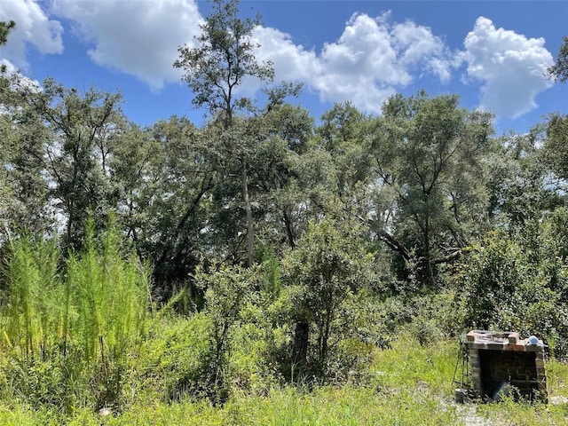 8890 SW 146th Pl, Dunnellon, FL 34432 - photo 8