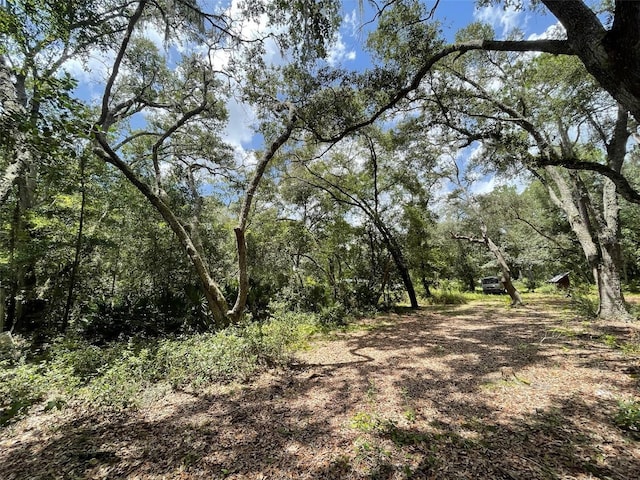 8890 SW 146th Pl, Dunnellon, FL 34432 - photo 9