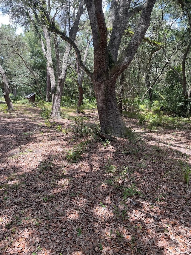 8890 SW 146th Pl, Dunnellon, FL 34432 - photo 10