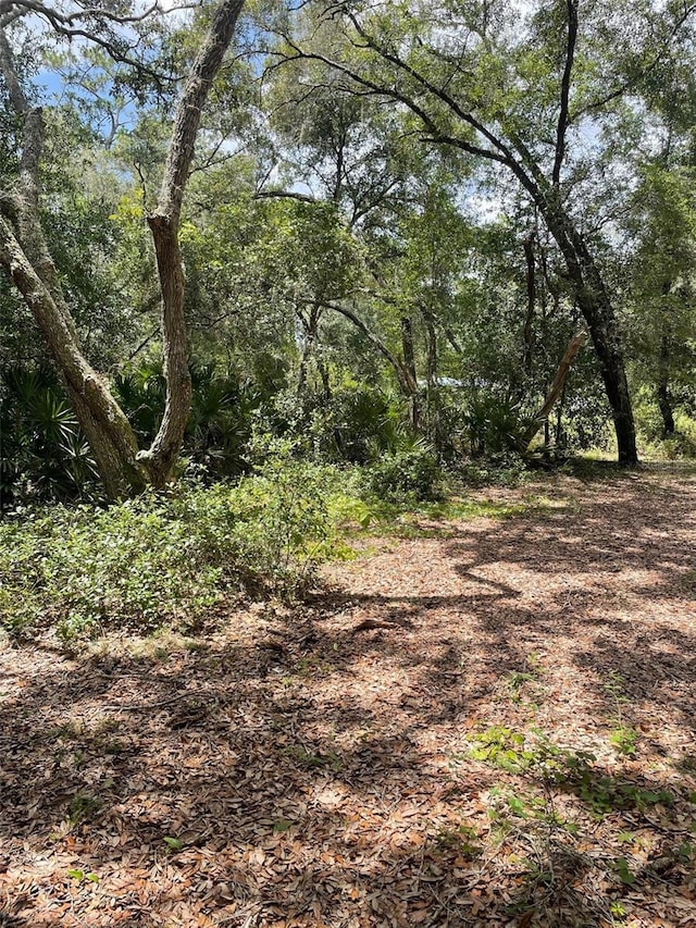 8890 SW 146th Pl, Dunnellon, FL 34432 - photo 11