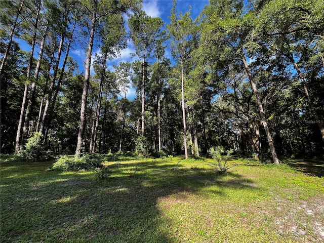 18 Lake View Dr W, Ocala, FL 34482 - photo 27