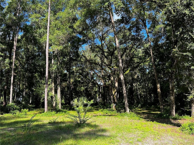 18 Lake View Dr W, Ocala, FL 34482 - photo 31