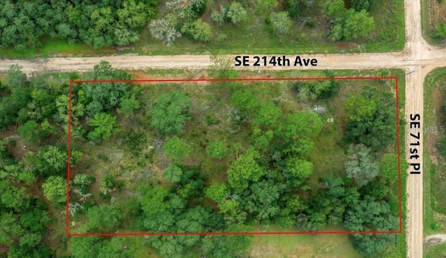 SE 71st Pl, Morriston, FL 32668 - photo 1