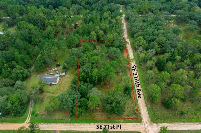 SE 71st Pl, Morriston, FL 32668 - photo 2