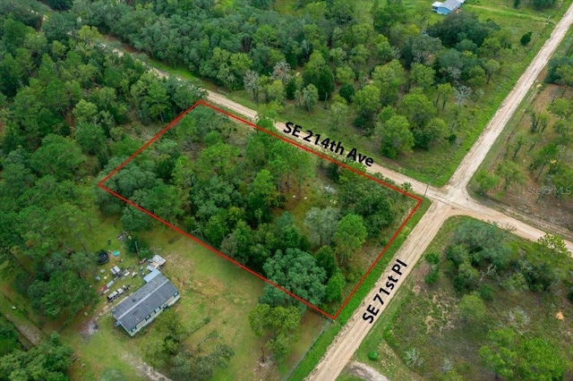 SE 71st Pl, Morriston, FL 32668 - photo 3