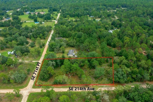 SE 71st Pl, Morriston, FL 32668 - photo 4